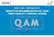EFFECTIVE IMPLEMENTATION OF YOUR FIRM’S …cpaquebec.ca/~/media/docs/.../outils/OU1470QAMPPTLink.pdf · EFFECTIVE IMPLEMENTATION OF YOUR FIRM’S QUALITY CONTROL SYSTEM . 2 . 