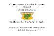 Documents/Kilcock GAA...  Web viewCumann Luthchleas Gael. Cill Chóca. Kilcock GAA Club. Annual General Meeting. 2016 Report