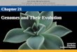 Genomes and Their Evolution - Houston Independent … and Their Evolution Chapter 21 . Overview: Reading the Leaves from the Tree of Life ... mixed populations, 