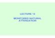 LECTURE 13 MONITORED NATURAL ATTENUATION · Monitored Natural Attenuation ... Denver, Colorado U.S. Environmental Protection Agency ... Reduced to soluble iron(II) (ferrous iron)