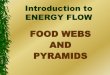 FOOD WEBS AND PYRAMIDS - Virbmedia.virbcdn.com/files/94/2c331320934a1740-Food... · FOOD WEBS AND PYRAMIDS. Food Chains & Food Webs ... 3 Types of ecological pyramids –Energy –Numbers