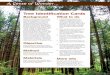 Tree Identification Cards - West Virginia Division of … Identification Cards What to do 1. If time allows, scout out the backyard, neighboring woods, wildlife management area or