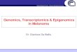 Genomics, Transcriptomics & Epigenomics in Melanoma · Dr. Gianluca De Bellis Genomics, Transcriptomics & Epigenomics in Melanoma. ... Comparison Nimblegen vs Agilent SureSelect