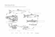 atlantic salmon life cycle worksheet - 1and1s331874360.websitehome.co.uk/atlanticsalmontrust/wp... ·  · 2016-12-14Title: Microsoft Word - atlantic_salmon_life_cycle_worksheet.docx