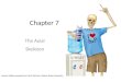 [PPT]Chapters 6 - Dr. Gerry Cronindrgerrycronin.weebly.com/.../9/7/4/5974564/chapters_7a.pptx · Web viewChapter 7 The Axial Skeleton Lecture slides prepared by Curtis DeFriez, Weber