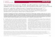 Circulating tumour DNA methylation markers for diagnosis ... · ARTICLES NATUREMATERIALSDOI:10.1038/NMAT4997 more sensitive assays need to be developed. It is hypothesized that adjacent
