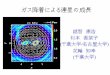 ガス降着による連星の成長 - Division of Theoretical …th.nao.ac.jp/MEMBER/tomisaka/Documents/sub/hanawa.pdfアクリーションが盛んな時期も連星 重力収縮