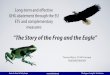 “The Story of the Frog and the Eagle” · “The Story of the Frog and the Eagle” Tomas Wyns, CCAP Europe twyns@ccap.org Center For Clean Air Policy Europe 
