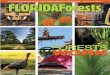 FORESTSfloridaforest.org/wp-content/uploads/florida-forests-spring-summer...Project Manager: Peri Brauth Marketing: ... Working Forests By Eric Draper A bout 12 years ago, I ... formal