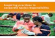 Inspiring practices in corporate social responsibility - … · Inspiring practices in corporate social responsibility Guidelines for commercial agriculture in Ethiopia Corporate
