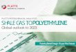 PLATTS PETROCHEMICAL ANALYTICS SHALE GAS … · PLATTS PETROCHEMICAL ANALYTICS ... 2015 due to plant closures in Central ... in-depth report created by Platts’ experienced market