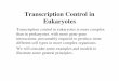 Transcription Control in Eukaryotes - University of …eebweb.arizona.edu/.../BirkyLectures/Sect9RegulationEukaryotes.pdfTranscription Control in Eukaryotes Transcription control in