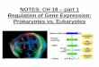 NOTES: CH 18 part 1 Regulation of Gene Expression ... of Gene Expression: Gene expression in both eukaryotes & prokaryotes is often regulated at the stage of TRANSCRIPTION (DNA mRNA)