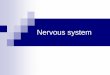 Nervous system - swsi.moodle.tafensw.edu.au · THE NERVOUS SYSTEM The nervous system is comprised of the brain, the spinal cord and nerves. FUNCTION The nervous system has 3 general