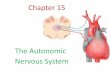 The Autonomic Nervous System - lms.manhattan.edu · features of the autonomic nervous system ... –Sympathetic preganglionic neurons exit the spinal cord ... They can enter and travel