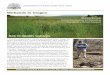 Wetlands in in Oregon DEPARTMENT OF STATE LANDS FACT SHEET Additional information is available on the DSL website: Identifying Wetlands Wetland Determinations and Delineations Working