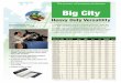 The proven all-purpose performer Big City - Interline … proven all-purpose performer Heavy Duty Versatility A versatile performer with the recycled advantage–that’s Big City®