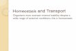 Homeostasis and Transport - Ringgold School District · Homeostasis and Transport ... The permeability of a cell membrane is determined ... move potassium ions across the cell membrane