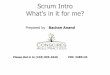 Prepared by Bachan Anand by Bachan Anand Please dial in to (218) 895-4640 PIN: 3289145 Agenda Overview of Agile and Scrum Scrum: Vision and Product Scrum: Sprint What’s in it for