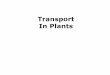 Transport In Plants - Mt. SAC Faculty Directoryfaculty.mtsac.edu/trevell/bio2/bio2resources/bio2unit2dstudent.pdfTransport of Xylem Sap ... 4 or CAM plants . Translocation of Phloem
