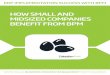 HOW SMALL ANd MIdSIzEd COMPANIES BENEfIT fROM … · HOW SMALL ANd MIdSIzEd COMPANIES BENEfIT fROM BPM. The acquisition and implementation of an ERP system is a watershed moment for