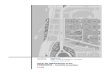 Detaljni urbanistički plan PEČURICE - bar.mebar.me/wp-content/uploads/dupovi/2016//DUP Pečurice -Turisticki... · Detaljni urbanistički plan »Pečurice - turisticki kompleks«,