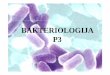 Jadranka BAKTERIOLOGIJA 3 - PBF.hr - PBFwebhosting-0.core.pbf.hr/content/download/27527/106925/...-grimizne sumporne bakt . – posjeduju bakterioklorofil a ili b, elektron donor H