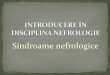 Sindroame nefrologice - medclub2.ucoz.romedclub2.ucoz.ro/_sf/1/107_Nefrologie_intr.pdf · Principalele sindroame in bolile renale ... la bolnavii cu DZ și HTA este un semn precoce