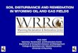 SOIL DISTURBANCE AND REMEDIATION IN WYOMING … · SOIL DISTURBANCE AND REMEDIATION IN WYOMING OIL AND GAS FIELDS Pete Stahl ... Weakly Developed, Problematic Soils (salty, sodic,
