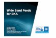 Wide Band Feeds for SKA - ASTRON | ASTRON€¦ ·  · 2015-04-23Wide Band Feeds for SKA Miroslav Pantaleev MIDPREP meeting ... LNA design Low Noise Factory ... 1.6 a3 ANSOFT Curve