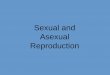 Sexual and Asexual Reproduction - Denton ??types of cell division called mitosis. Sexual and Asexual Reproduction How do organisms reproduce asexually? â€¢Binary fission is the