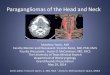 Paragangliomas of the Head and Neck - Welcome to UTMB ... · Paragangliomas of the Head and Neck ... •Infection Strep/Staph, EBV, TB, ... –Jugulotympanic deep red when viewing