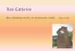 Les Cathares ·  · 2018-03-15Les Cathares Une civilisation avortée, un christianisme rénové ... (traité contre les hérétiques – 170), Tertullien… ... « la Renaissance