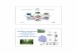 Intelligent management system of the recreational tourist ...€¦ · Intelligent management system of the recreational tourist economic zone on the Seliger Territory. 2 ... Energy
