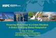 Financing Wind Power in a Crisis Situation: A Global ... Younger_IFC.pdf · Financing Wind Power in a Crisis Situation: A Global Emerging Market Perspective ... sector knowledge/network