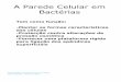 A Parede Celular em Bactérias - CNCcnc.cj.uc.pt/disciplina/microbiologia/pdfs/Aula_color.pdf · r r r r r r Citoplasma r r r r ácido lipoteóico ... Grossa (multi-camada) Canada
