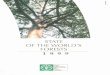 SITUATION AND PROSPECTS FOR FOREST CONSERVATION€¦ ·  · 2005-02-25SITUATION AND PROSPECTS FOR FOREST CONSERVATION ... Global trends in forest products 34 Non-wood forest products: