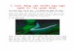 5 loài động vật khiến bạn ngã ngửa vì “bị giật điện”nguyendinhchieu.edu.vn/uploads/teach_images/1488601264.docx · Web viewCá mũi voi thuộc nhóm cá