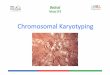 Chromosomal Karyotyping - srlworld.com · • Karyotyping-process of pairing and ordering all chromosomes of an organism, ... • Preparation and study of karyotypes is part of Cytogenetics