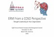 ERM From a COSO Perspective - AFERM€¦ ·  · 2017-09-08ERM From a COSO Perspective Thought Leadership for Your Organization . Eighth Annual Federal Enterprise Risk Management