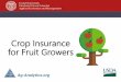 Crop Insurance for Fruit Growers - Cornell University Whole Farm Revenue Protection USDA/FSA: NAP, Non-Insured Crop Disaster Assistance ... Crop insurance information and web tools,