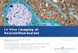 In Vivo Imaging of Neuroinflammation - National /media/Files/Activity Files/Research... · PDF fileSAR343680; 11C-NE40 R-P Moldovan, M.G. Pomper, A.G. Horti et al. J.Med.Chem. 2016,