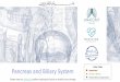 Pancreas and Biliary System - KSUMSCksumsc.com/download_center/2nd/2) GNT Block/Teams work...Pancreas and Biliary System Color Code Important Doctors Notes Notes/Extra explanation