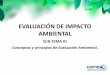 EVALUACIÓN DE IMPACTO AMBIENTAL€¦ ·  · 2012-05-23evaluación general del proyecto. • La EIA es un instrumento para la adopción de decisiones . ... Estudio de Impacto Ambiental