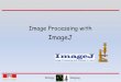 Image Processing with - BIOP -Homepagebiop.epfl.ch/pdf/Image Processing with ImageJ.pdf3. Binary operations ¾masks ¾morphological operators 5. ImageJ plugins ¾plugins installation