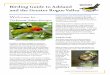 Birding Guide to Ashland and the Greater Rogue Valley irding Guide to Ashland and the Greater Rogue Valley was created to help visitors and residents get outdoors and enjoy the natural