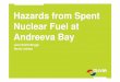 Hazards from SNF at Andreeva Bay JSB - NKS.org Welcome€¦ · Nuclear Fuel at Andreeva Bay ... of horizontal shielding Tank 2a and 2b: replacement of cell caps and installation of