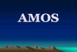 AMOS - lastingsuccessedu.org 2.0.pdf · •Amos 7:14-15 •Minding his own ... •The term " higher criticism" was coined by Eichhorn, who lived from 1752 to 1827. •Higher critics,