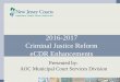 2016-2017 Criminal Justice Reform eCDR Enhancements · Criminal Justice Reform eCDR Enhancements ... • Case Processing/Complaint Entry ... The Affidavit/Certification is to more
