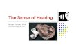 Sense of Hearing - Ankara Yıldırım Beyazıt University Sense of Hearing . Sound Waves